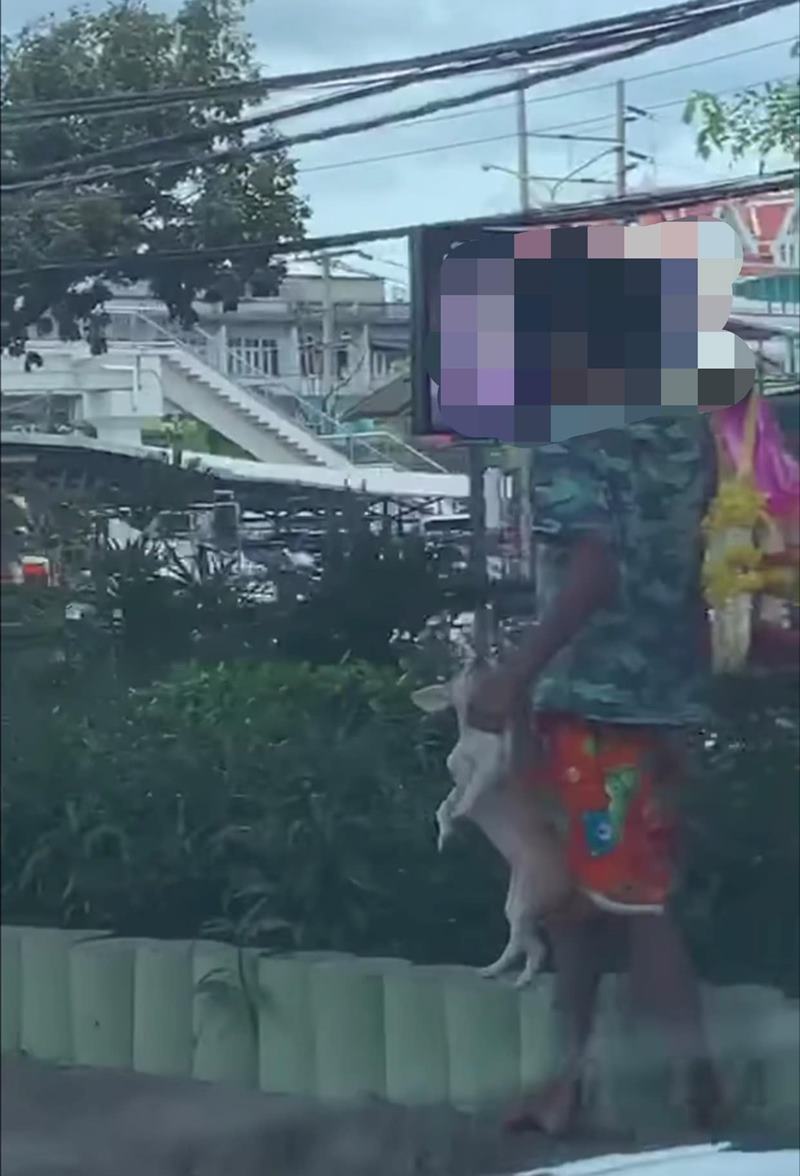 เด็กขายพวกมาลัยทารุณหมา เด็กขายพวกมาลัยทารุณหมา