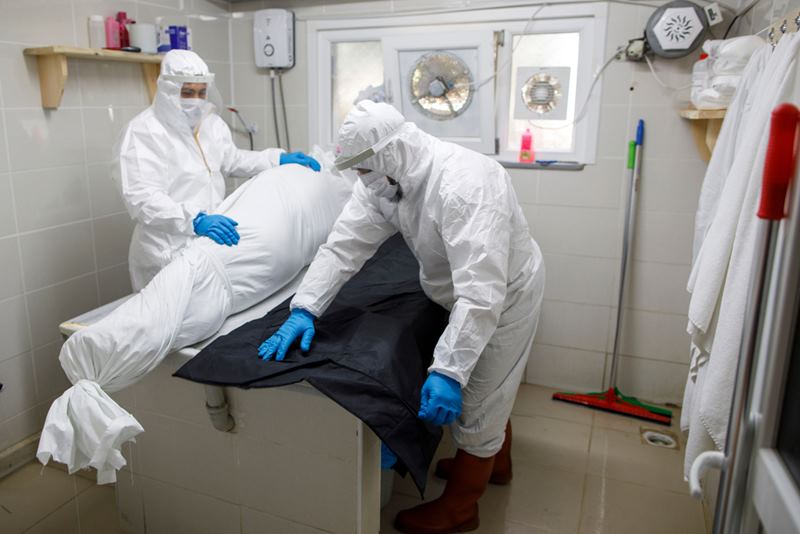 สัตวแพทย์ติดเชื้อไวรัสลิง เสียชีวิต สัตวแพทย์ติดเชื้อไวรัสลิง เสียชีวิต