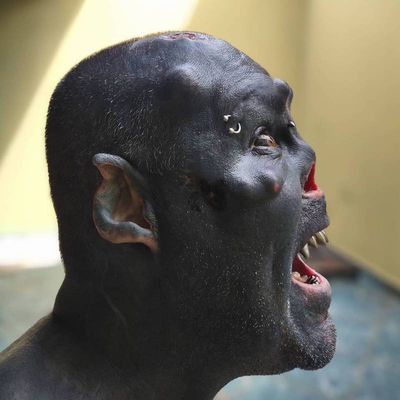 ช่างสักอยากเป็นสัตว์ประหลาด ช่างสักอยากเป็นสัตว์ประหลาด