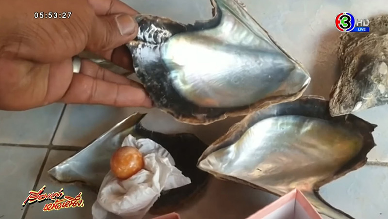 ไข่มุกสีส้ม ไข่มุกสีส้ม