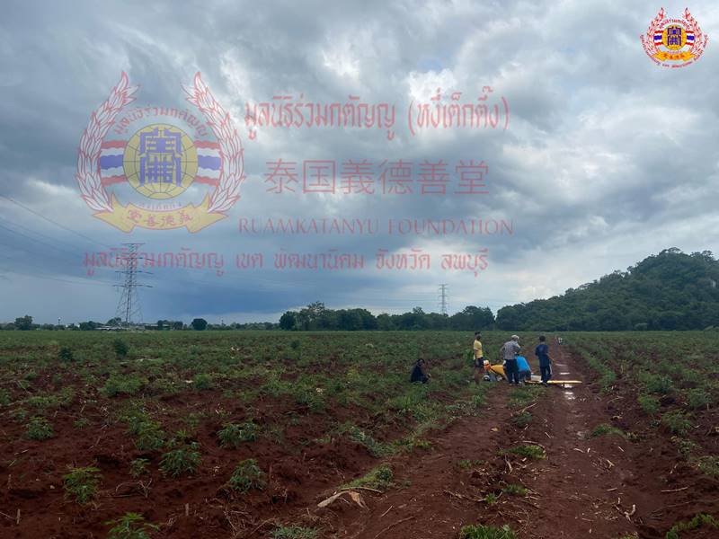 ฟ้าผ่าตาย ฟ้าผ่าตาย