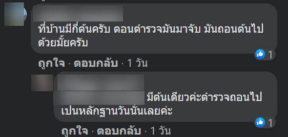 สาวถ่ายรูป ปลูกกัญชา โดนปรับอ่วม สาวถ่ายรูป ปลูกกัญชา โดนปรับอ่วม