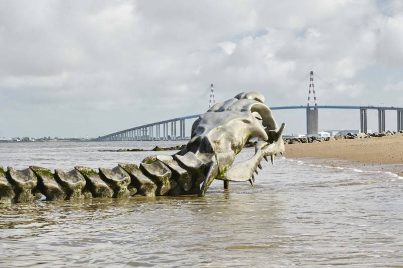 โครงกระดูกงูยักษ์ โครงกระดูกงูยักษ์