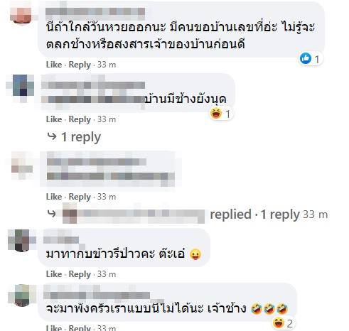 ช้างป่าบุกบ้าน ช้างป่าบุกบ้าน