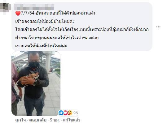 เด็กขายพวกมาลัยทารุณหมา เด็กขายพวกมาลัยทารุณหมา