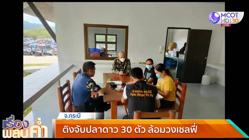 จับปลาดาวมาถ่ายรูป จับปลาดาวมาถ่ายรูป