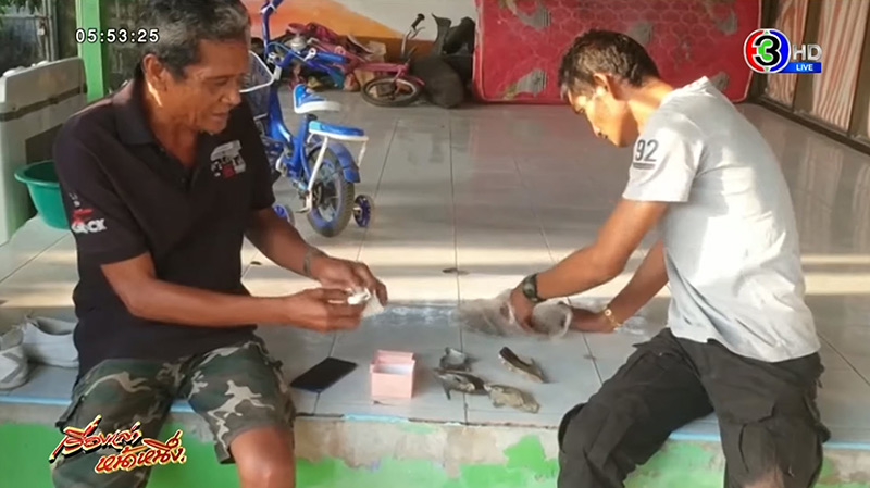 ไข่มุกสีส้ม ไข่มุกสีส้ม