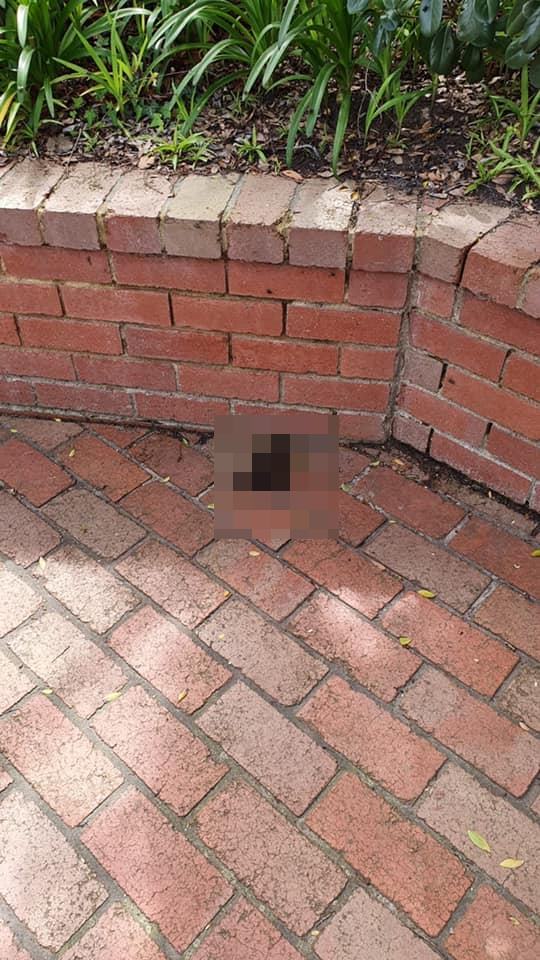 นักปั่นจักรยาน อุจจาระ หน้าบ้านคนอื่น นักปั่นจักรยาน อุจจาระ หน้าบ้านคนอื่น