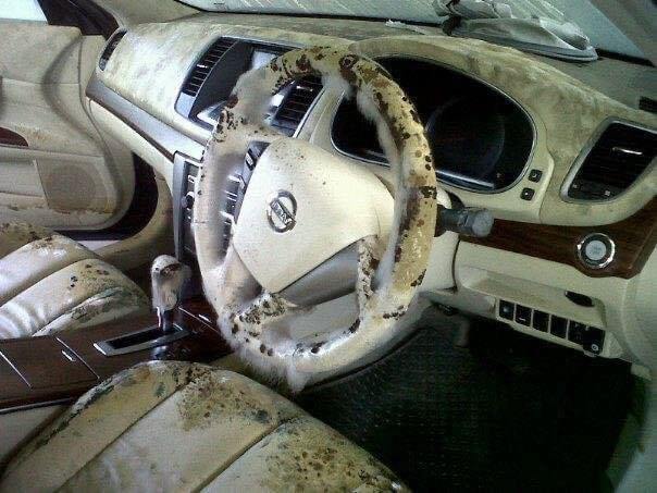 ถุงพลาสติกคลุมรถเชื้อราขึ้น ถุงพลาสติกคลุมรถเชื้อราขึ้น