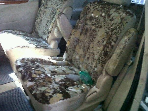 ถุงพลาสติกคลุมรถเชื้อราขึ้น ถุงพลาสติกคลุมรถเชื้อราขึ้น