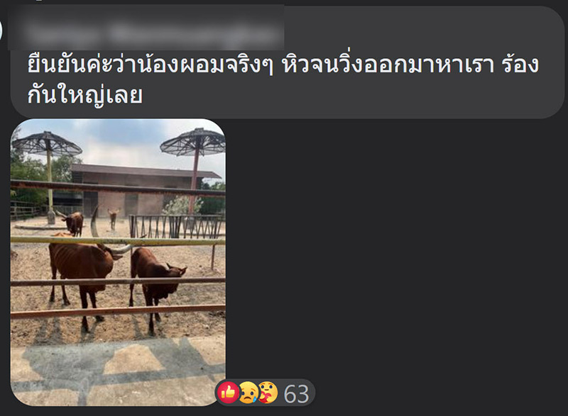 ฟาร์มจระเข้สมุทรปราการ ฟาร์มจระเข้สมุทรปราการ