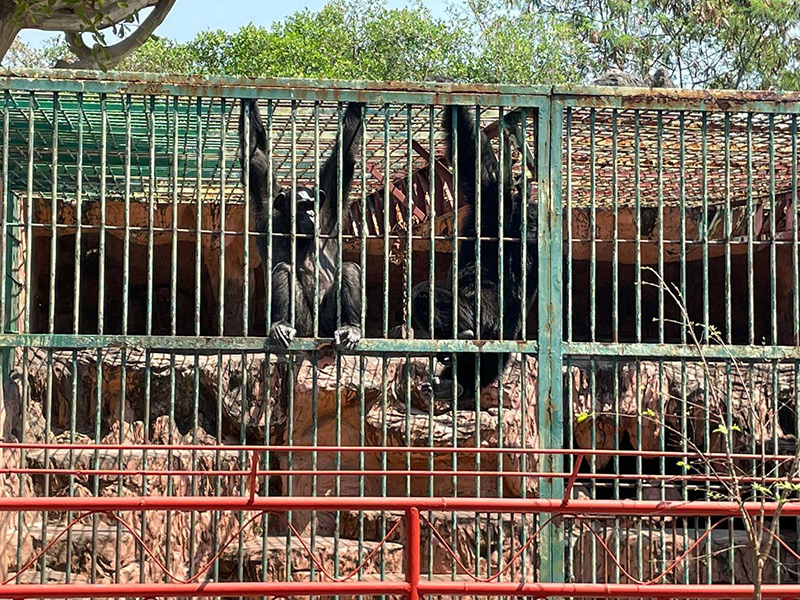 ฟาร์มจระเข้สมุทรปราการ ฟาร์มจระเข้สมุทรปราการ