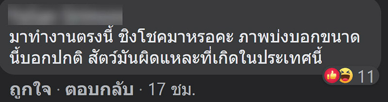 ฟาร์มจระเข้สมุทรปราการ ฟาร์มจระเข้สมุทรปราการ