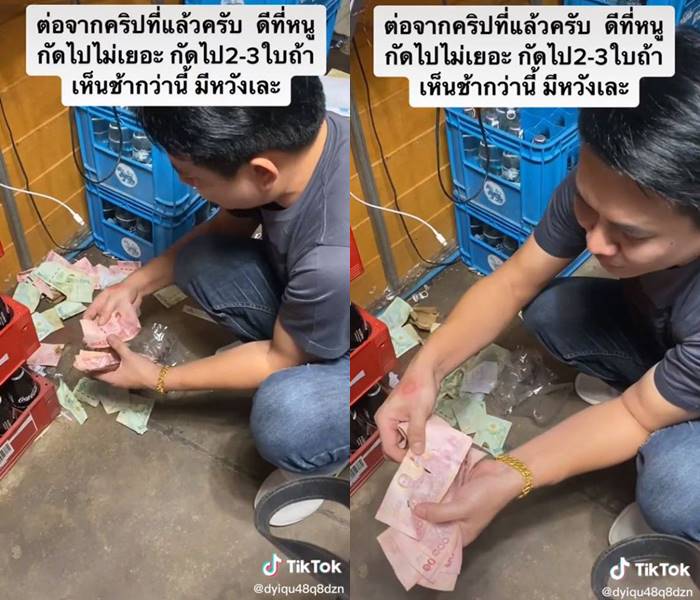 หนูขโมยเงิน หนูขโมยเงิน