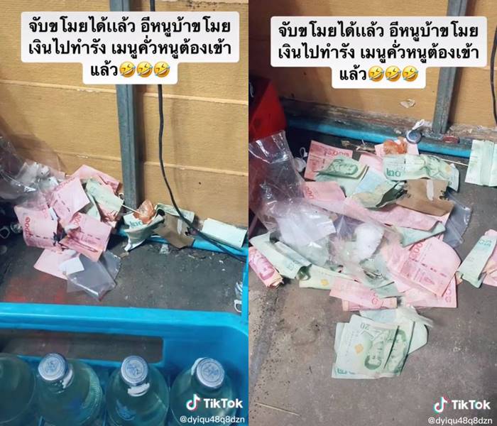 หนูขโมยเงิน หนูขโมยเงิน