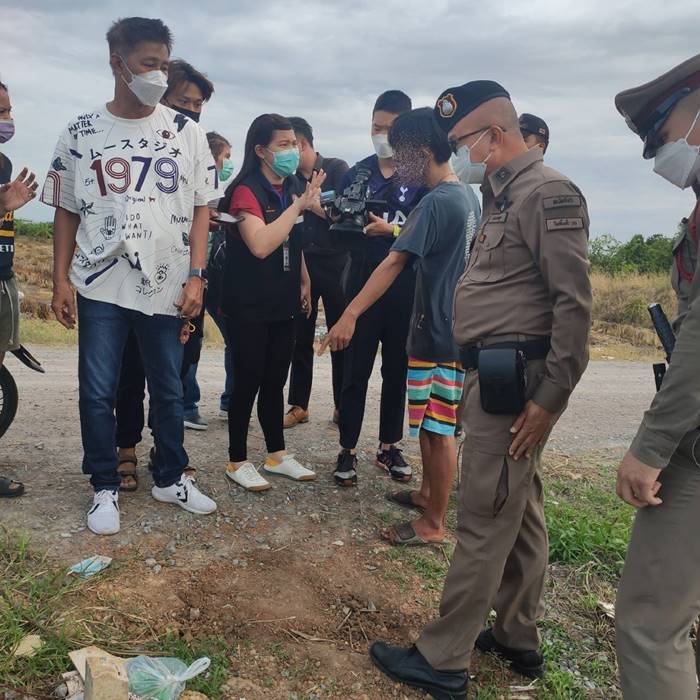 ฆ่าแมว ฆ่าแมว