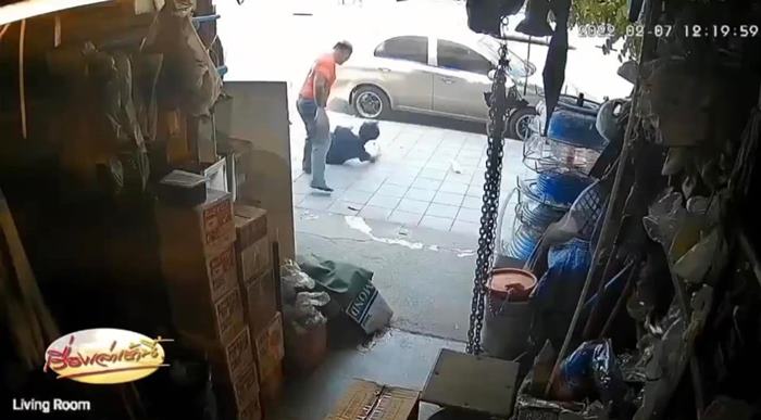 เต่า หน้ายักษ์ เต่า หน้ายักษ์