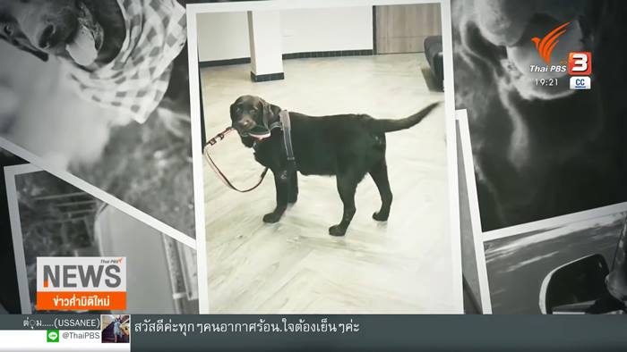 ชนะคดีฟ้องสัตวแพทย์ทำหมาตาย ชนะคดีฟ้องสัตวแพทย์ทำหมาตาย