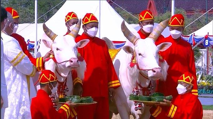 วันพืชมงคล 2565 วันพืชมงคล 2565