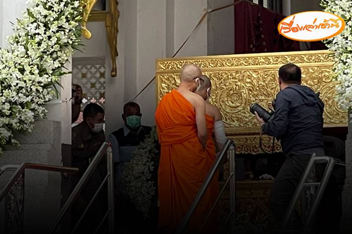 ข่าวหมอกระต่าย ข่าวหมอกระต่าย