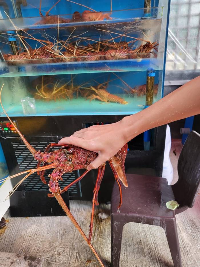 เสี่ยรถหรูไม่จ่ายค่าอาหาร เสี่ยรถหรูไม่จ่ายค่าอาหาร