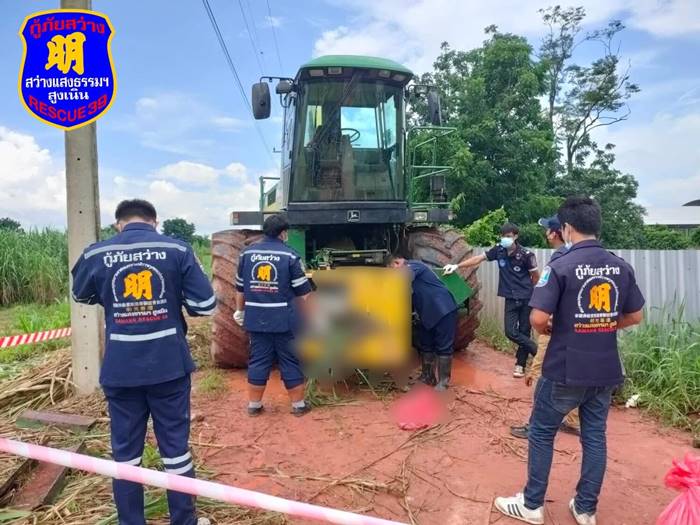 เครื่องตัดหญ้าปั่นตาย เครื่องตัดหญ้าปั่นตาย