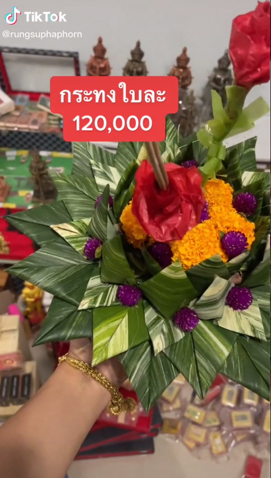 กระทงกล้วยด่าง ใบละแสนสอง กระทงกล้วยด่าง ใบละแสนสอง