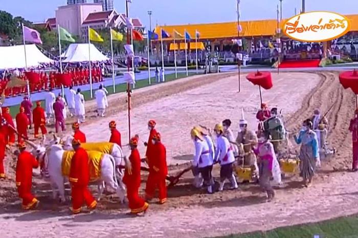 วันพืชมงคล 2565 วันพืชมงคล 2565