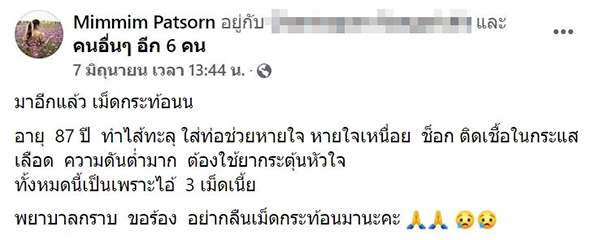 กลืนเม็ดกระท้อนตาย กลืนเม็ดกระท้อนตาย