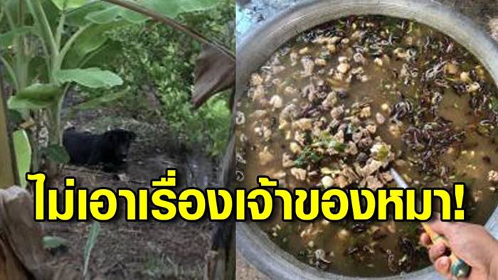 ไก่ชนตาย 34 ตัว เจ้าของไม่เอาเรื่อง ไก่ชนตาย 34 ตัว เจ้าของไม่เอาเรื่อง