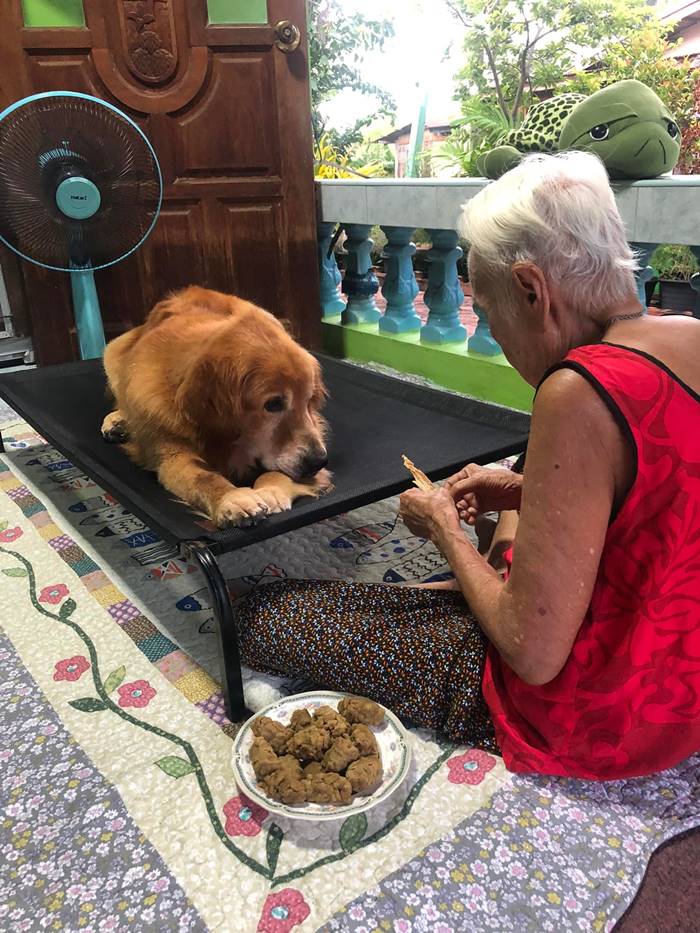 ลีโอ ไอ้หนูของยาย ลีโอ ไอ้หนูของยาย