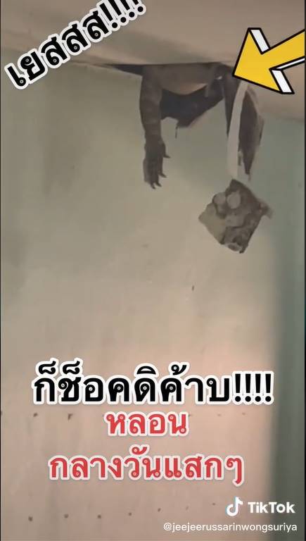 ตัวเงินตัวทอง ตัวเงินตัวทอง