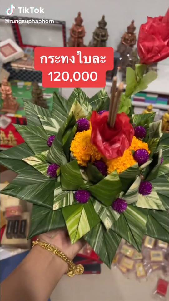 กระทงกล้วยด่าง ใบละแสนสอง กระทงกล้วยด่าง ใบละแสนสอง