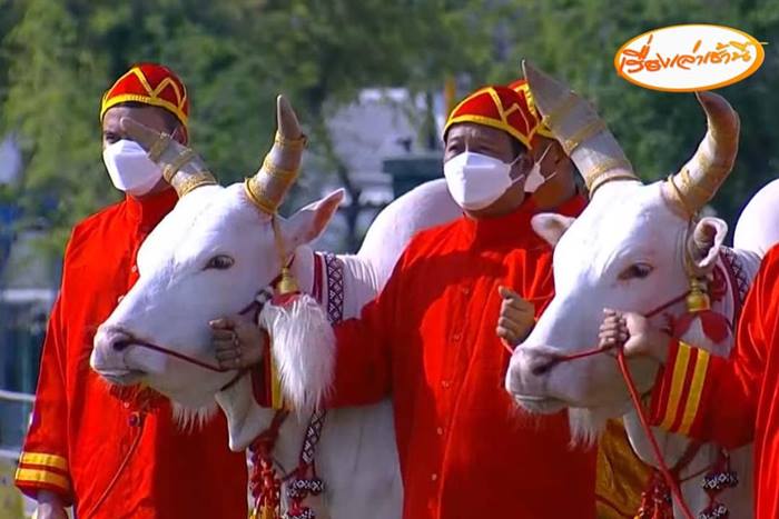 วันพืชมงคล 2565 วันพืชมงคล 2565