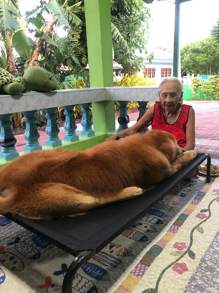 ลีโอ ไอ้หนูของยาย ลีโอ ไอ้หนูของยาย