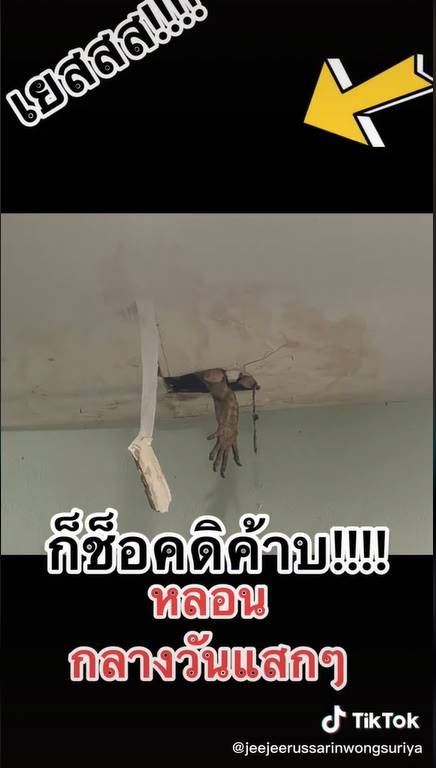 ตัวเงินตัวทอง ตัวเงินตัวทอง