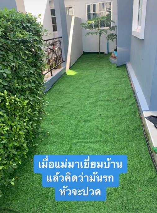 ไวรัลแม่ตัดต้นไม่ริมรั้ว ไวรัลแม่ตัดต้นไม่ริมรั้ว