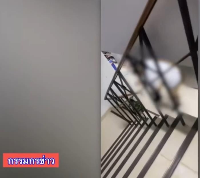 ส.อ. หื่น ลวนลามทหารหญิง ส.อ. หื่น ลวนลามทหารหญิง