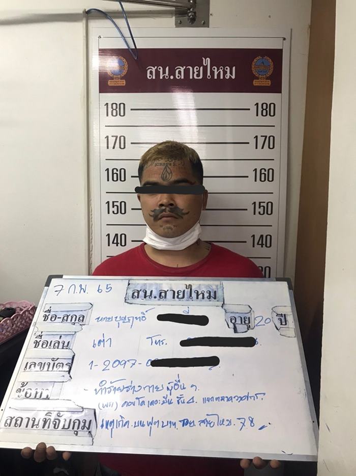 เต่า หน้ายักษ์ เต่า หน้ายักษ์