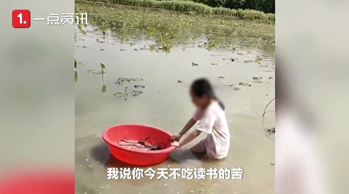 ลูกไม่อยากเรียนพ่อให้ไปขุดรากบัว ลูกไม่อยากเรียนพ่อให้ไปขุดรากบัว