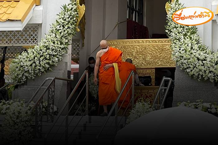 ข่าวหมอกระต่าย ข่าวหมอกระต่าย