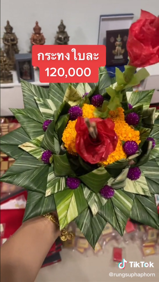 กระทงกล้วยด่าง ใบละแสนสอง กระทงกล้วยด่าง ใบละแสนสอง