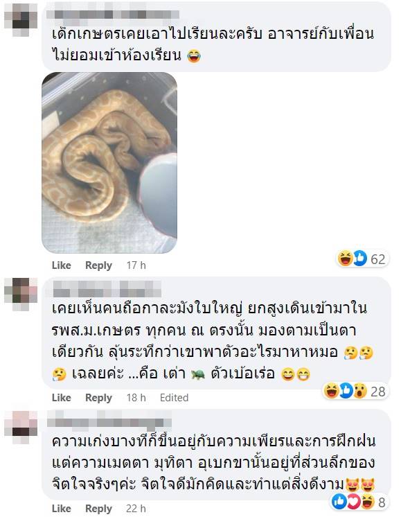 ไวรัลอุ้มแมวเข้าห้องเรียน ไวรัลอุ้มแมวเข้าห้องเรียน