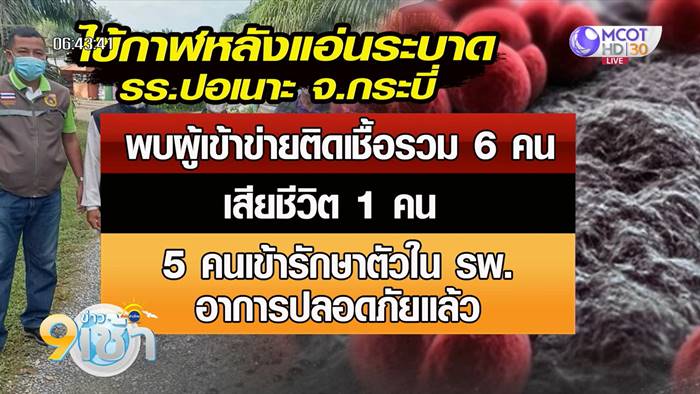 กระบี่ เจอผู้ป่วยเข้าข่ายไข้กาฬหลังแอ่น กระบี่ เจอผู้ป่วยเข้าข่ายไข้กาฬหลังแอ่น