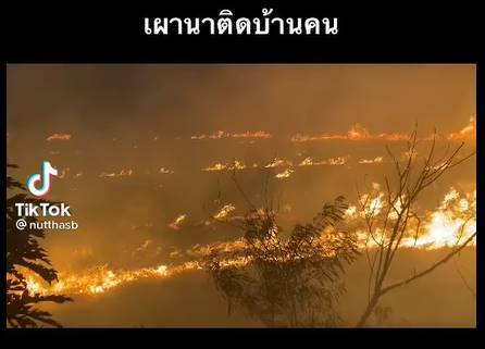 หมู่บ้าน หมู่บ้าน