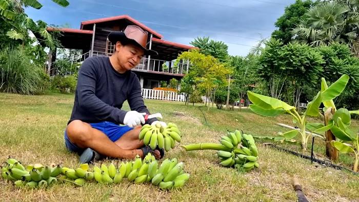 กำภู ภูริภูวดล รีวิวโคกหนองนา กำภู ภูริภูวดล รีวิวโคกหนองนา