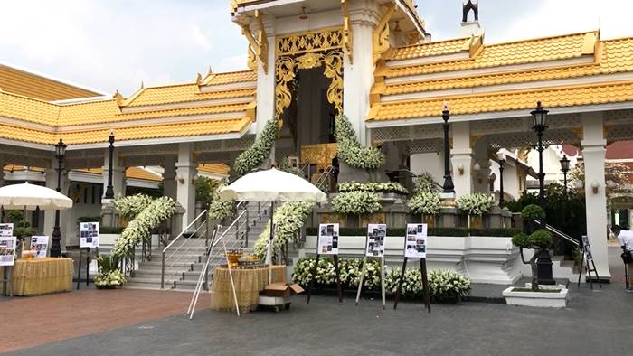 ข่าวหมอกระต่าย ข่าวหมอกระต่าย