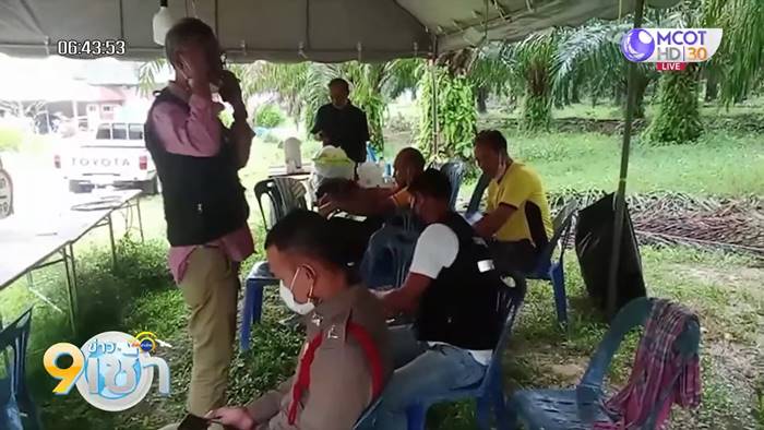 กระบี่ เจอผู้ป่วยเข้าข่ายไข้กาฬหลังแอ่น กระบี่ เจอผู้ป่วยเข้าข่ายไข้กาฬหลังแอ่น