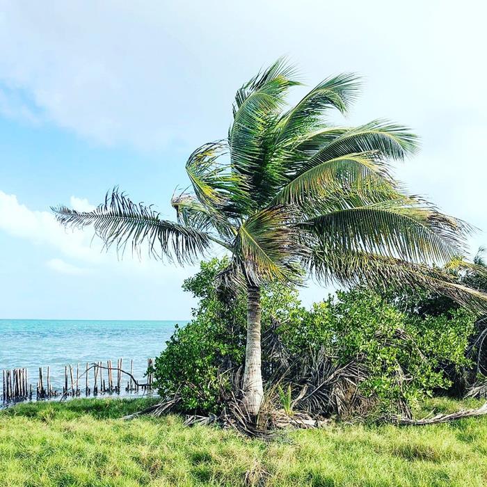 ซื้อเกาะส่วนตัว ตั้งประเทศของตัวเอง ซื้อเกาะส่วนตัว ตั้งประเทศของตัวเอง