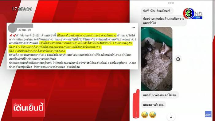 ฆ่าแมว ฆ่าแมว